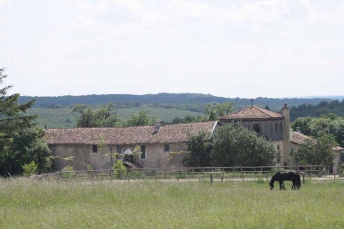 Buiten bij de paarden