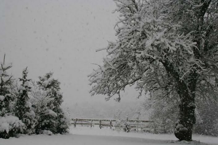 Klooster omgeving sneeuw