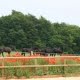 Wei in de zomer op natuurcamping DDCSC