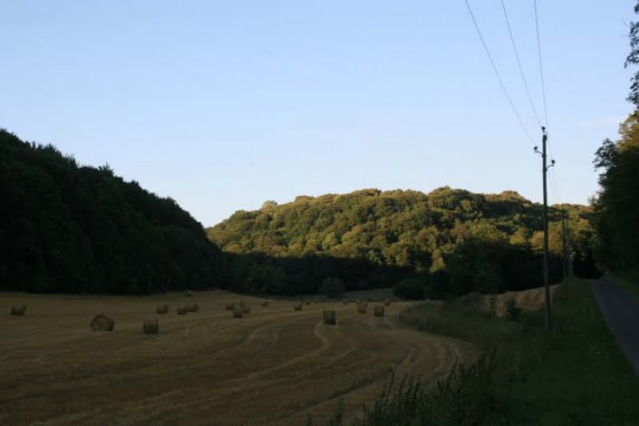 Natuur in Frankrijk