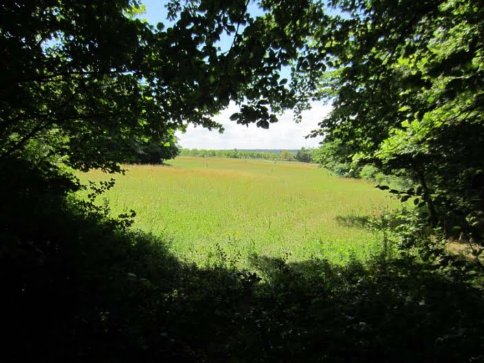 Natuur bij klooster