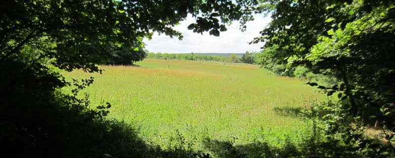 Natuur bij klooster