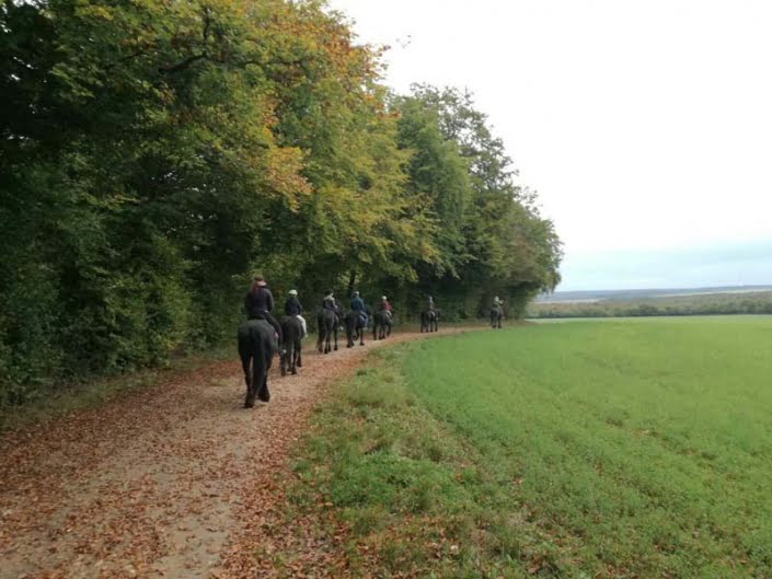 Paardenrit in de natuur