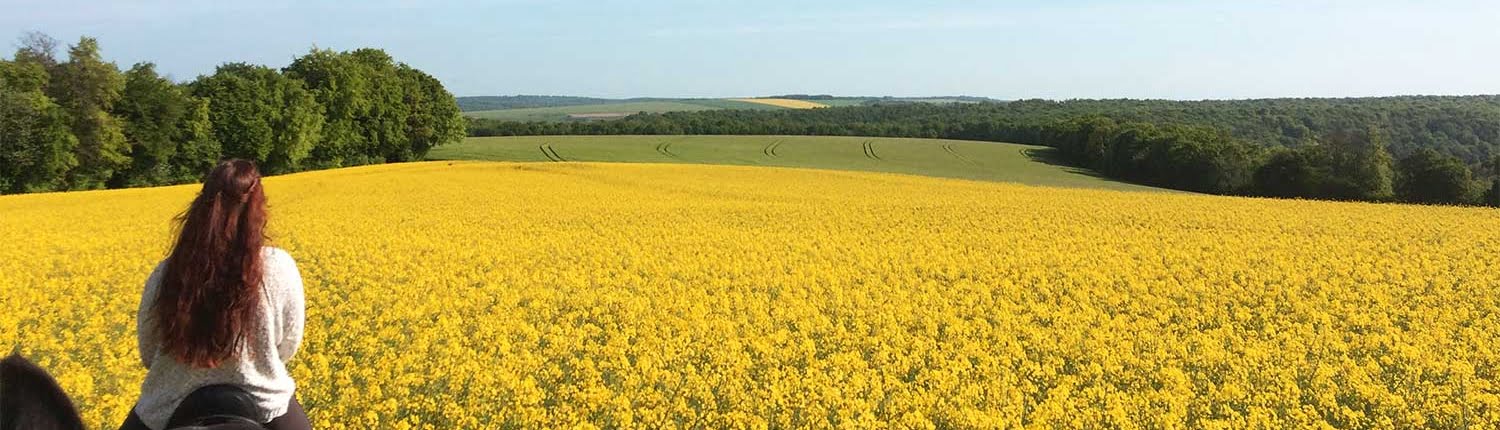 Omgeving klooster Frankrijk