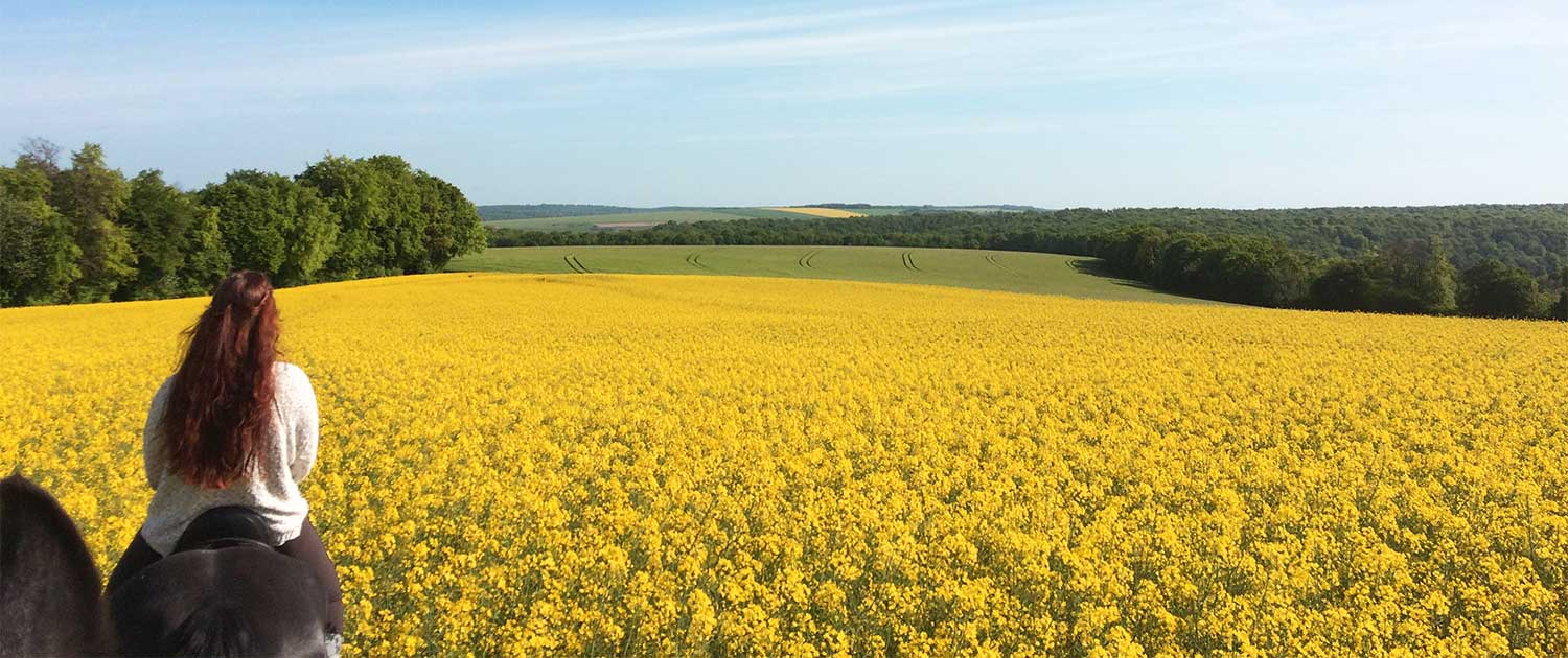 Omgeving klooster Frankrijk