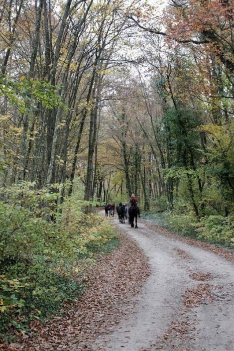 Oprit van klooster- wandelen, hiken en paardrijden