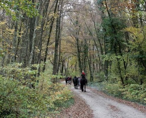 Oprit van klooster- wandelen, hiken en paardrijden