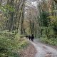 Oprit van klooster- wandelen, hiken en paardrijden