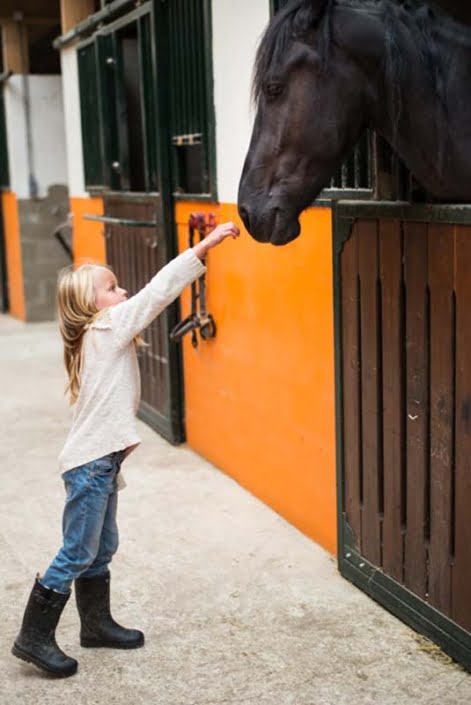 Paarden bij het klooster