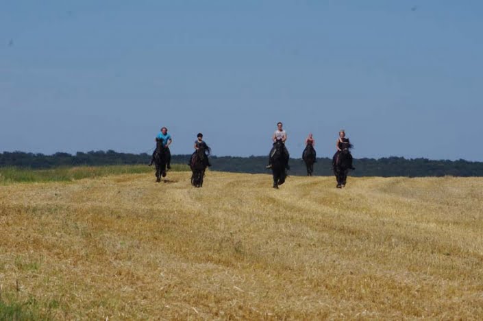 Paardenrit in de natuur bij klooster