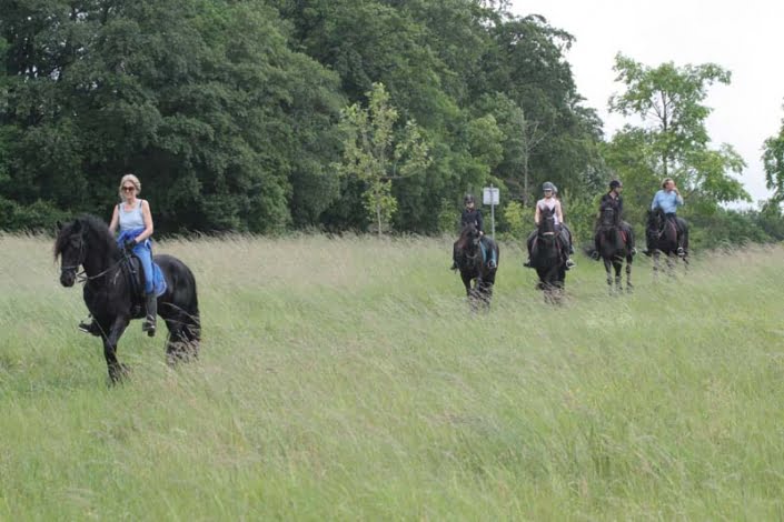 Rit met paarden